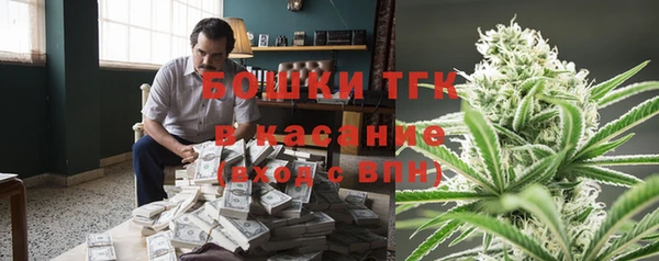 шишки Баксан