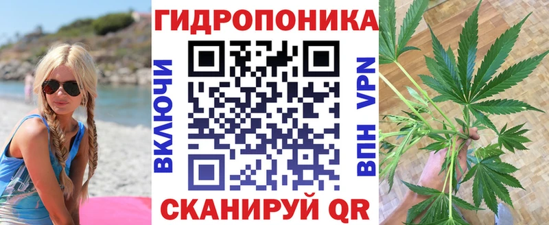 где найти наркотики  darknet наркотические препараты  Конопля Ganja  Сафоново 